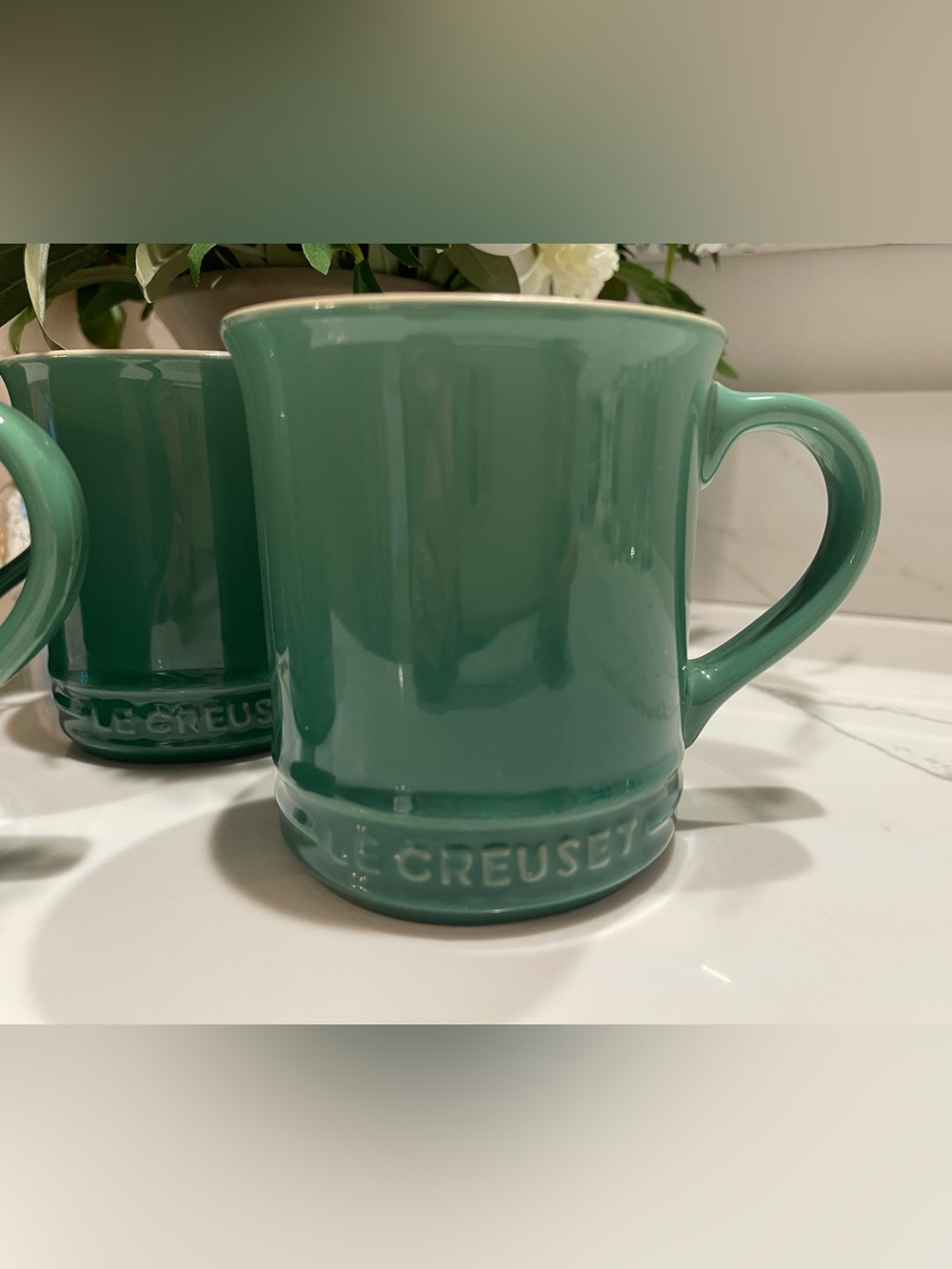 4 Fennel, Rosemary
by LE CREUSET